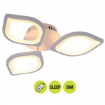 LED плафон VIKI  48w