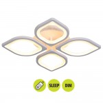 LED плафон VIKI  60w