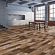 Ламиниран паркет BABIL Varioclick Wood NEW 8 мм AC5/33